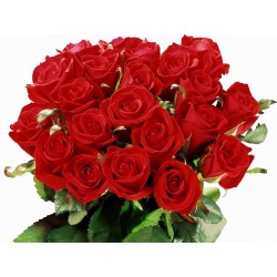 Bouquet de Rosas Rojas